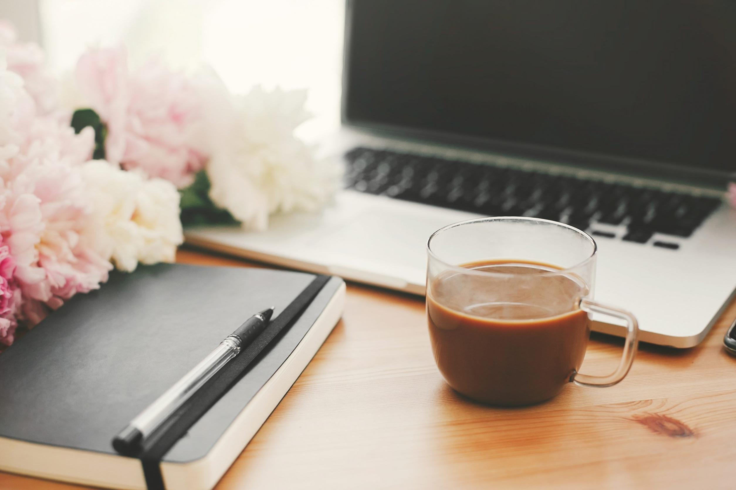 Plataforma de formación en crecimiento orgánico